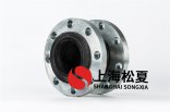 純化水系統可以用DN100橡膠繞性接頭嗎？